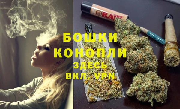 стафф Корсаков