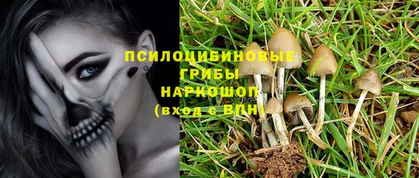стафф Краснослободск