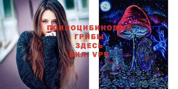 стафф Краснослободск