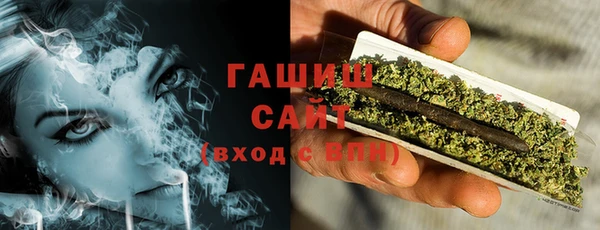 прущие грибы Чегем