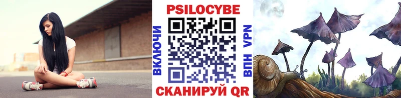 Купить закладки  Котельники  Галлюциногенные грибы Psilocybine cubensis 