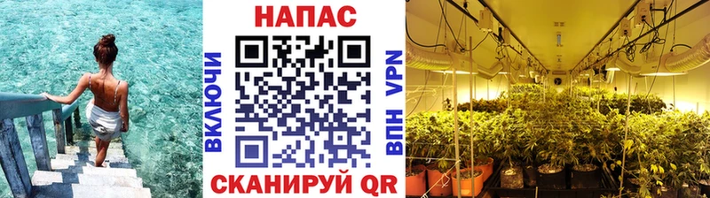 Купить закладки  Котельники  Каннабис гибрид 